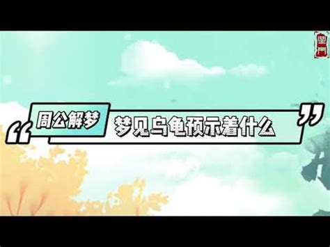 夢見烏龜號碼|夢境解析號碼烏龜